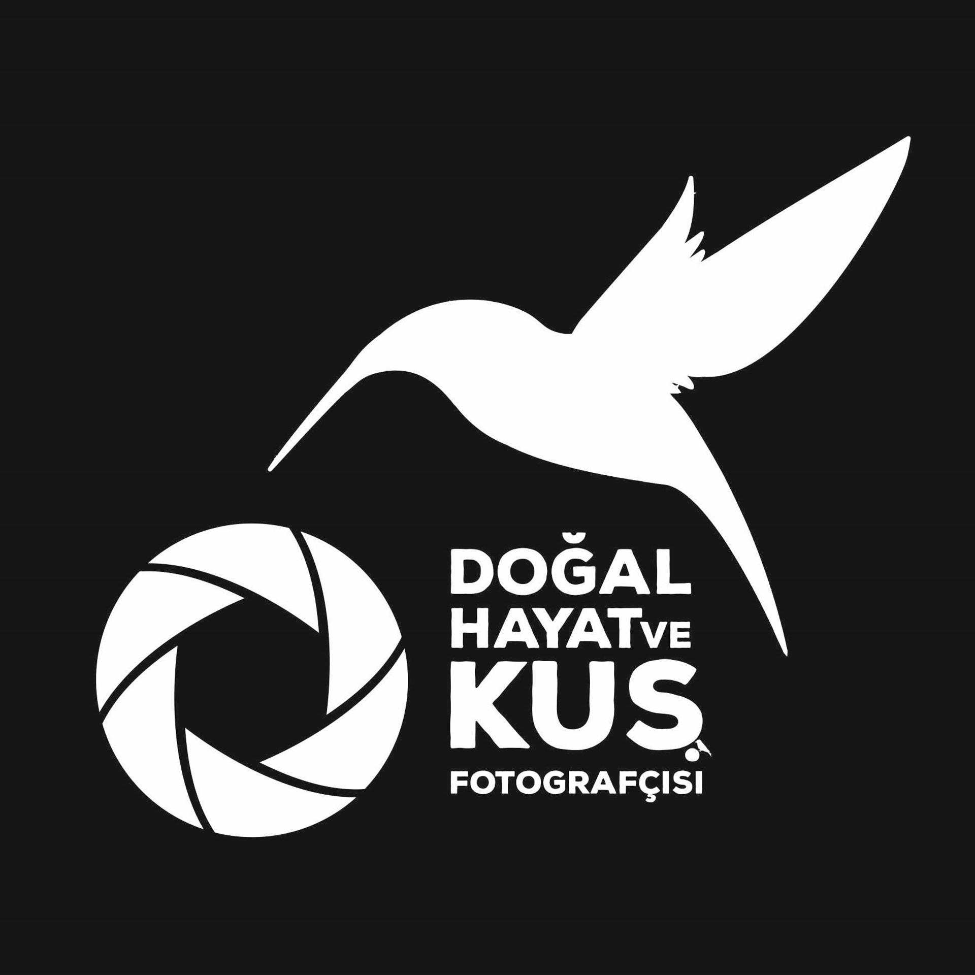 Bülent Karadağ profil fotoğrafı