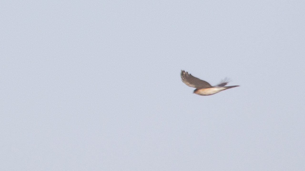 Arazi fotoğrafı