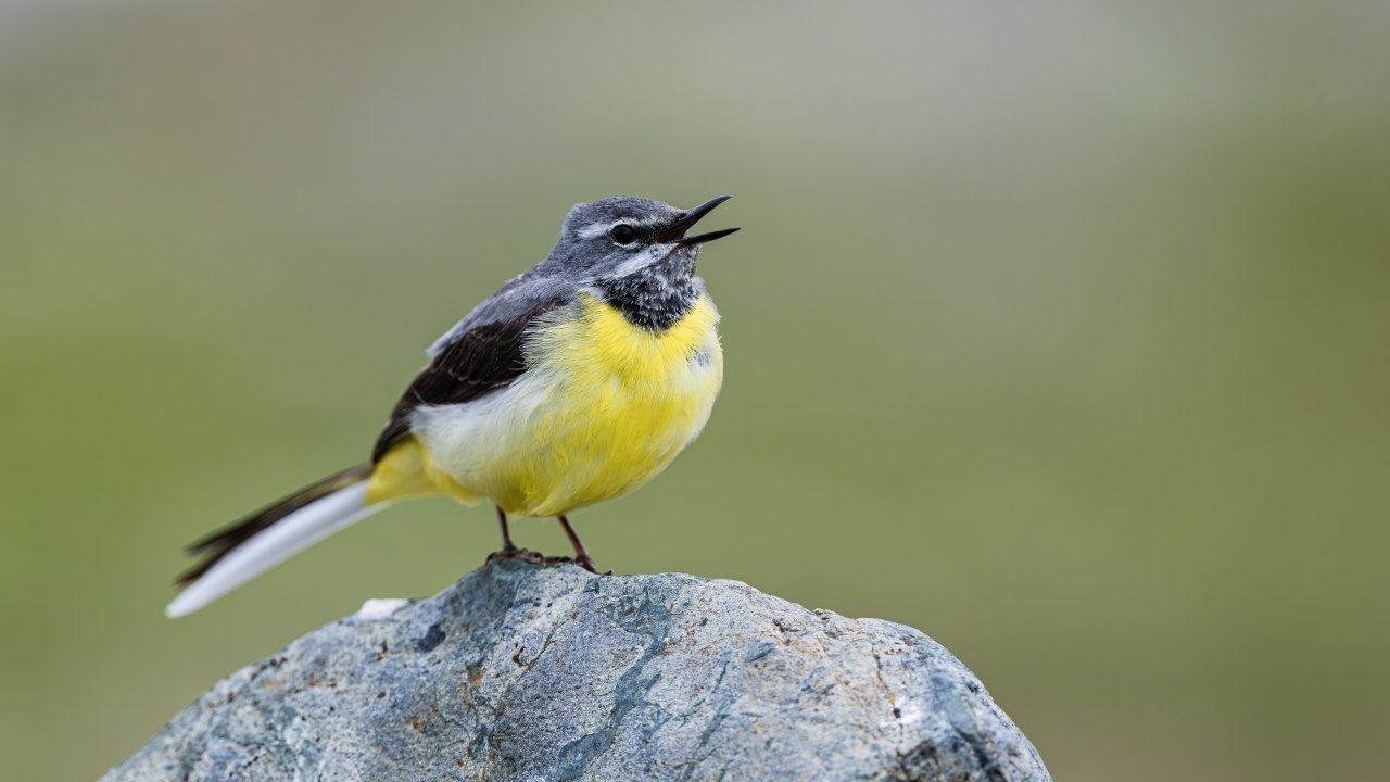 Arazi fotoğrafı