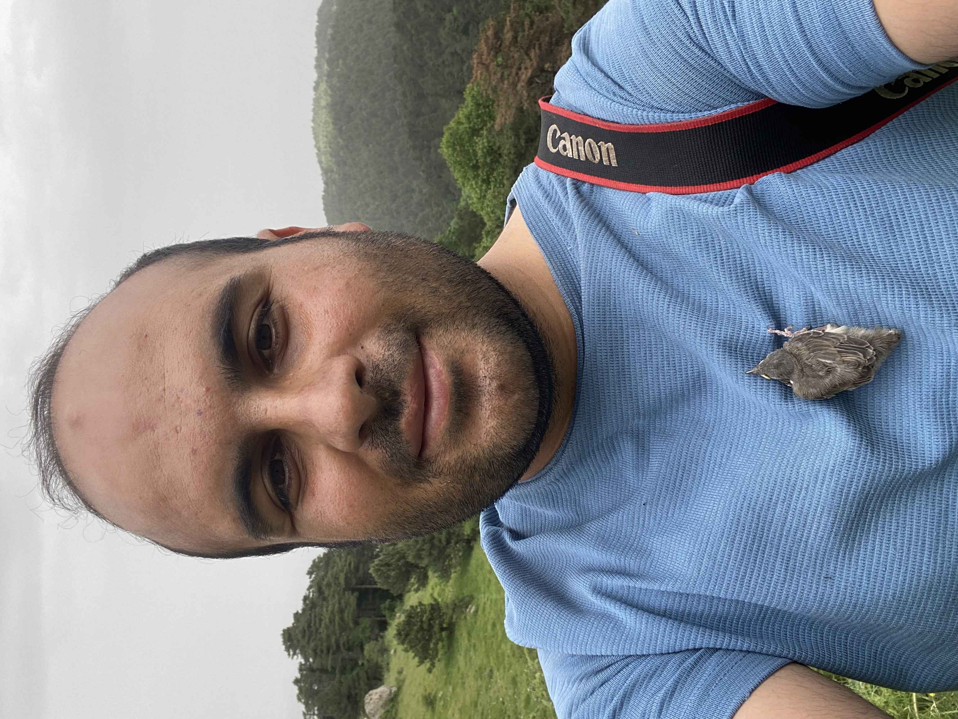 Lesser Whitethroat