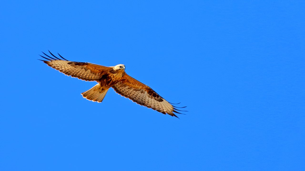 Arazi fotoğrafı
