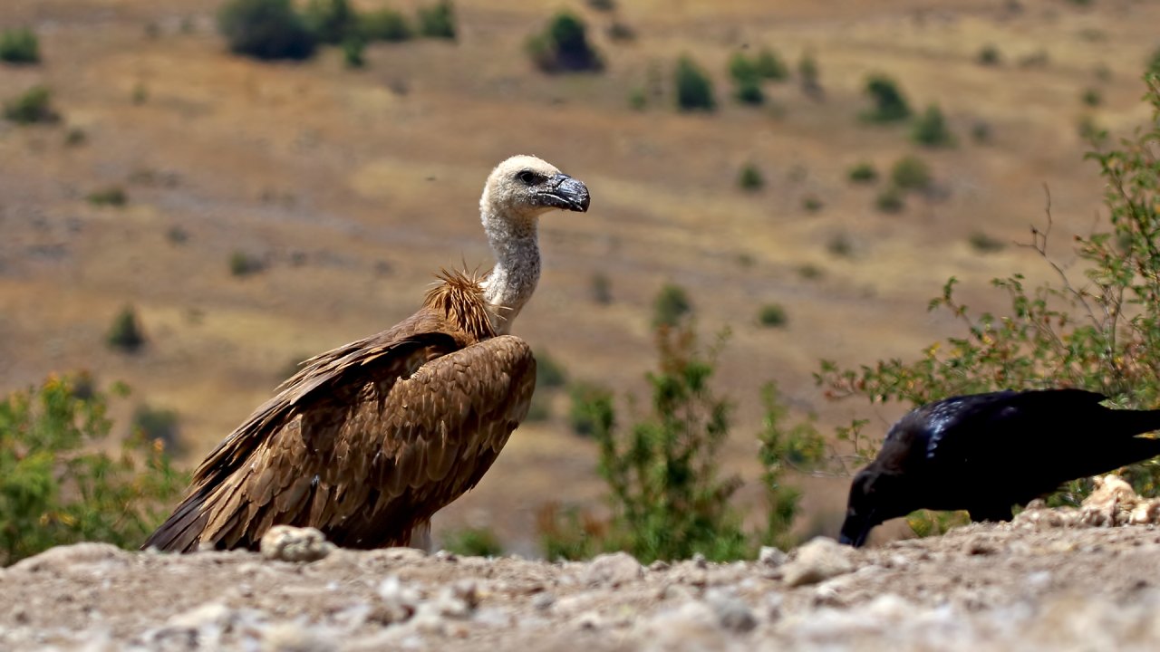 Arazi fotoğrafı