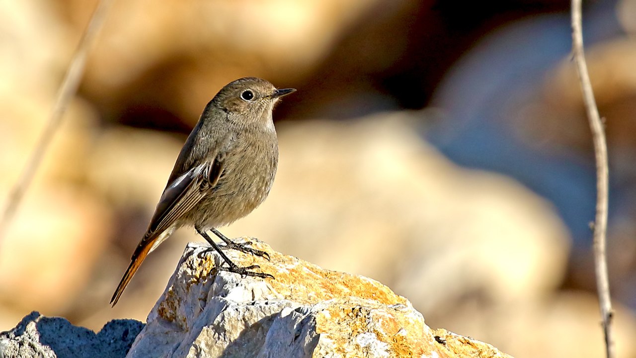 Arazi fotoğrafı