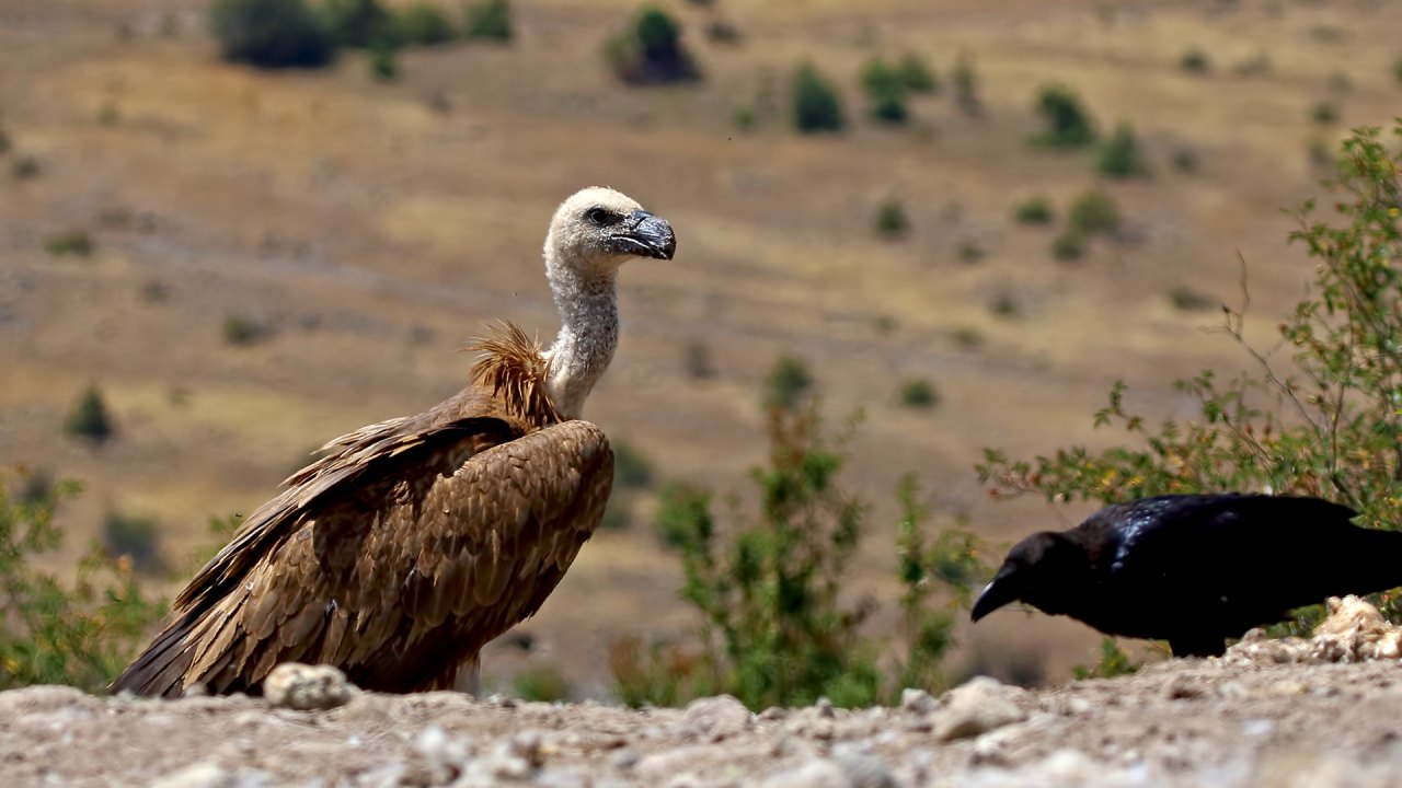 Arazi fotoğrafı