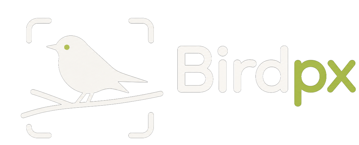 Birdpx